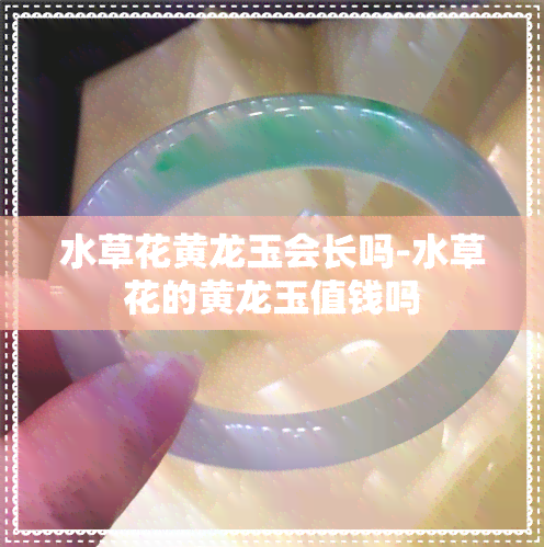 水草花黄龙玉会长吗-水草花的黄龙玉值钱吗