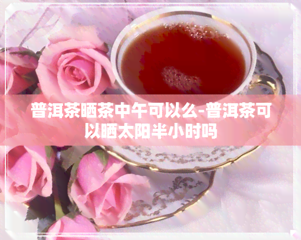 普洱茶晒茶中午可以么-普洱茶可以晒太阳半小时吗