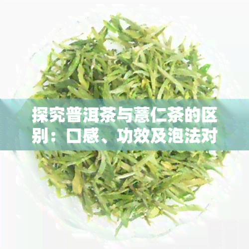 探究普洱茶与薏仁茶的区别：口感、功效及泡法对比