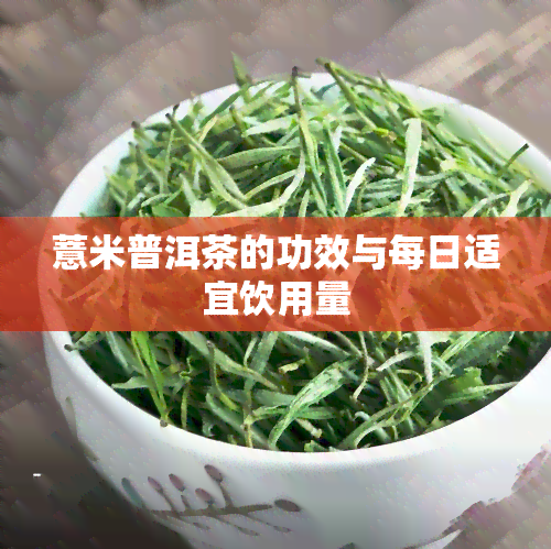 薏米普洱茶的功效与每日适宜饮用量