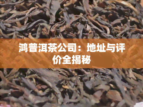 鸿普洱茶公司：地址与评价全揭秘