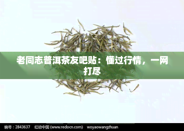 老同志普洱茶友吧贴：懂过行情，一网打尽