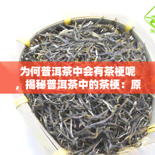 为何普洱茶中会有茶梗呢，揭秘普洱茶中的茶梗：原因与影响