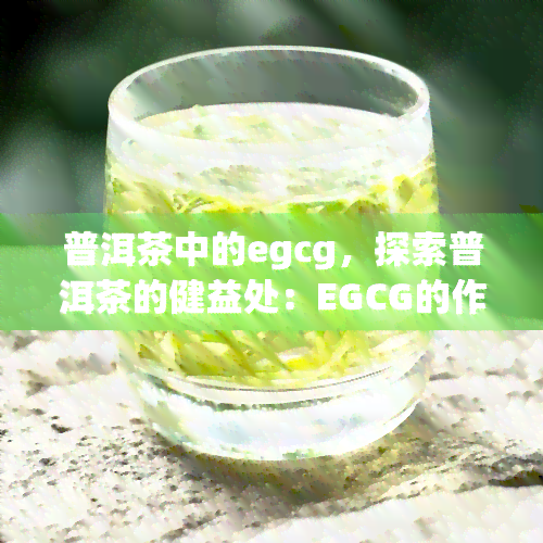 普洱茶中的egcg，探索普洱茶的健益处：EGCG的作用与功效