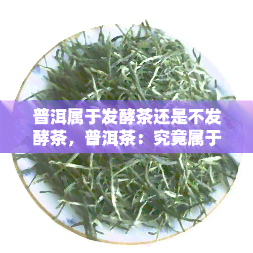 普洱属于发酵茶还是不发酵茶，普洱茶：究竟属于发酵茶还是不发酵茶？