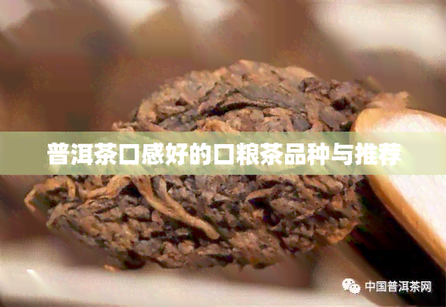 普洱茶口感好的口粮茶品种与推荐