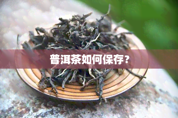 普洱茶如何保存？