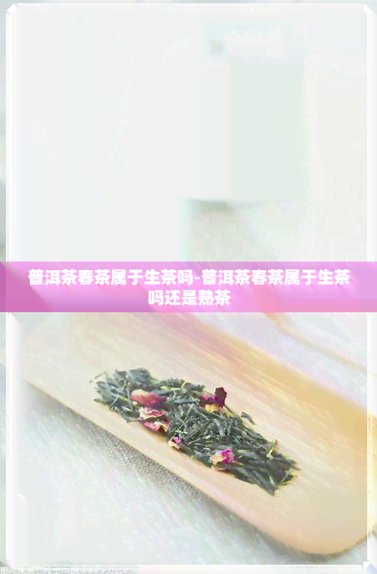 普洱茶春茶属于生茶吗-普洱茶春茶属于生茶吗还是熟茶