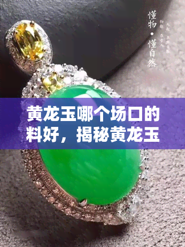 黄龙玉哪个场口的料好，揭秘黄龙玉价值：哪个场口的料最值得投资？