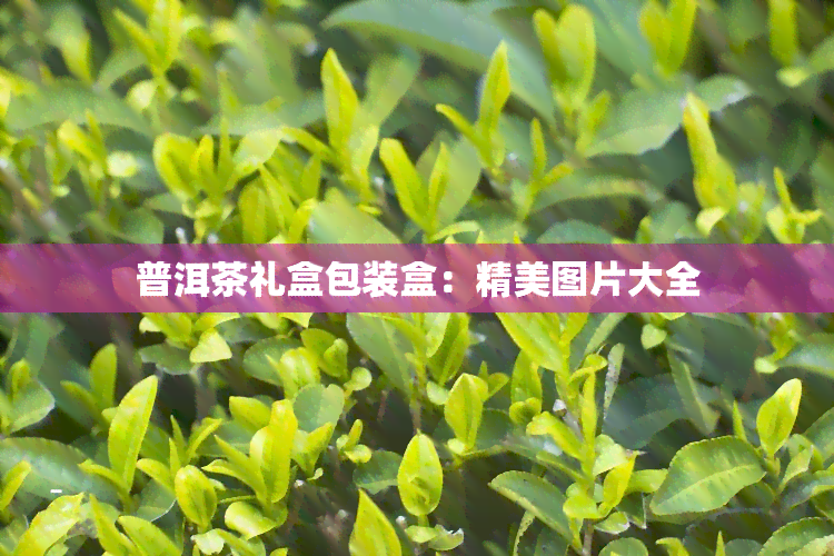 普洱茶礼盒包装盒：精美图片大全