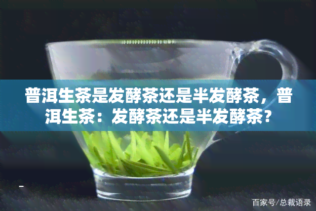 普洱生茶是发酵茶还是半发酵茶，普洱生茶：发酵茶还是半发酵茶？