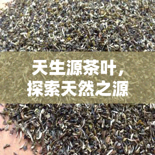 天生源茶叶，探索天然之源：品味天生源茶叶的独特魅力