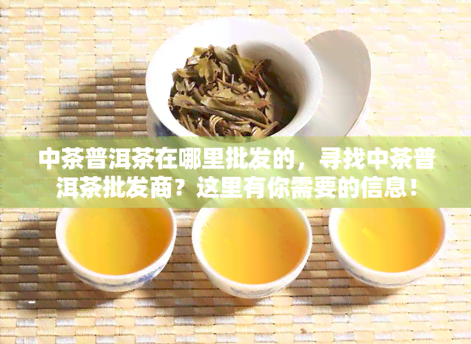 中茶普洱茶在哪里批发的，寻找中茶普洱茶批发商？这里有你需要的信息！