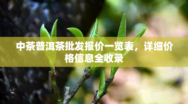 中茶普洱茶批发报价一览表，详细价格信息全收录