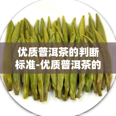 优质普洱茶的判断标准-优质普洱茶的判断标准是什么