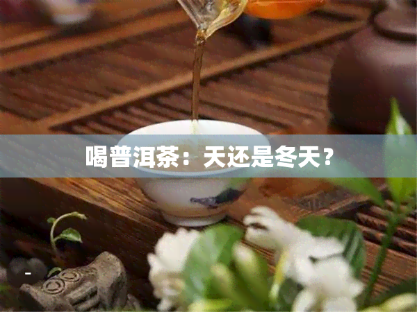 喝普洱茶：天还是冬天？