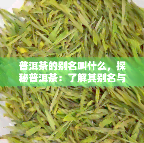 普洱茶的别名叫什么，探秘普洱茶：了解其别名与背后的故事