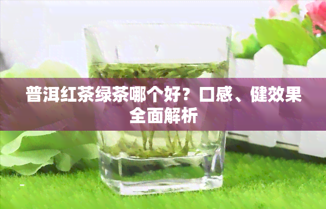 普洱红茶绿茶哪个好？口感、健效果全面解析