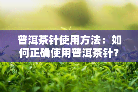 普洱茶针使用方法：如何正确使用普洱茶针？