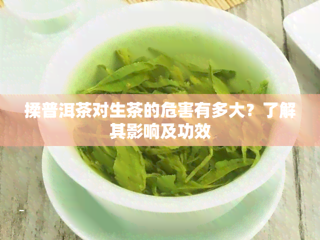 揉普洱茶对生茶的危害有多大？了解其影响及功效