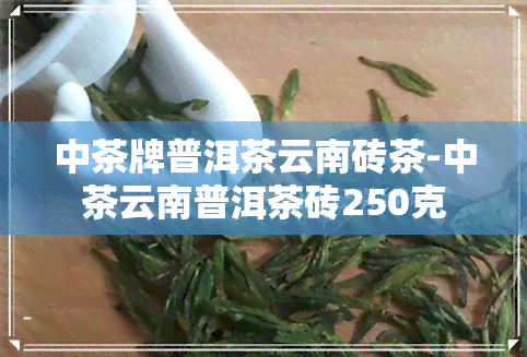 中茶牌普洱茶云南砖茶-中茶云南普洱茶砖250克