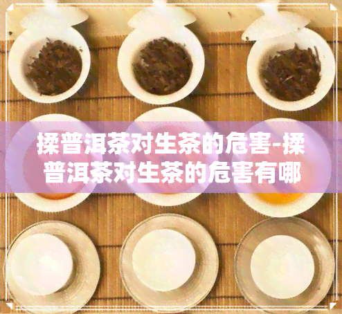 揉普洱茶对生茶的危害-揉普洱茶对生茶的危害有哪些