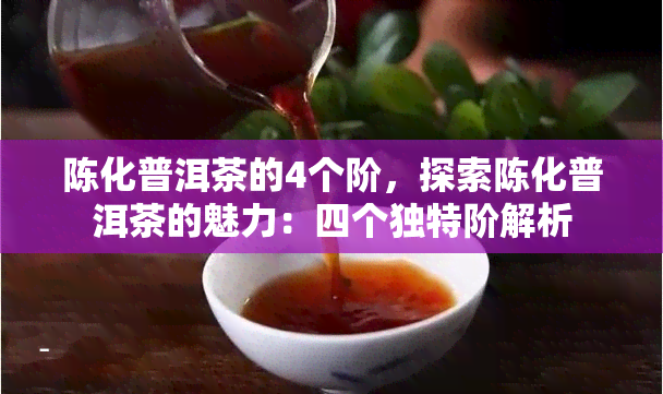 陈化普洱茶的4个阶，探索陈化普洱茶的魅力：四个独特阶解析