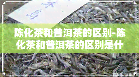 陈化茶和普洱茶的区别-陈化茶和普洱茶的区别是什么