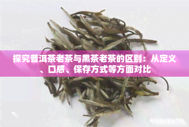 探究普洱茶老茶与黑茶老茶的区别：从定义、口感、保存方式等方面对比