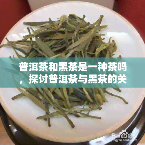 普洱茶和黑茶是一种茶吗，探讨普洱茶与黑茶的关系：它们是同一种茶吗？