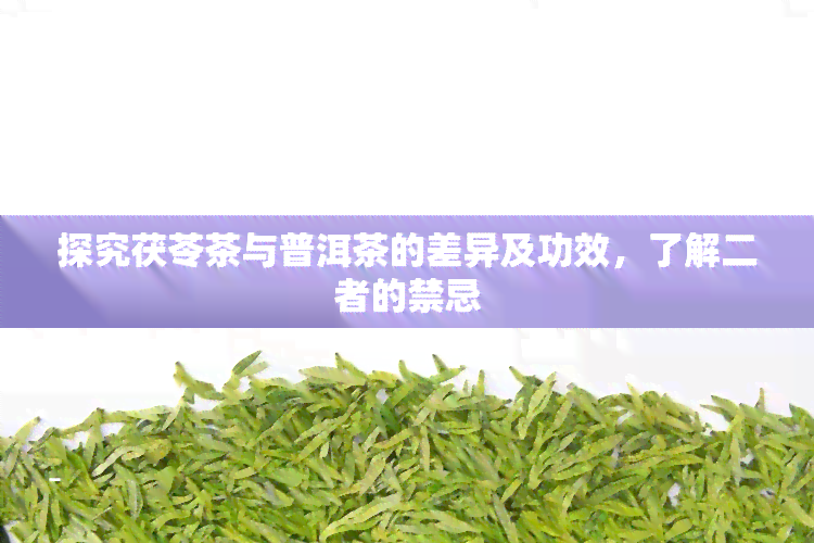 探究茯苓茶与普洱茶的差异及功效，了解二者的禁忌