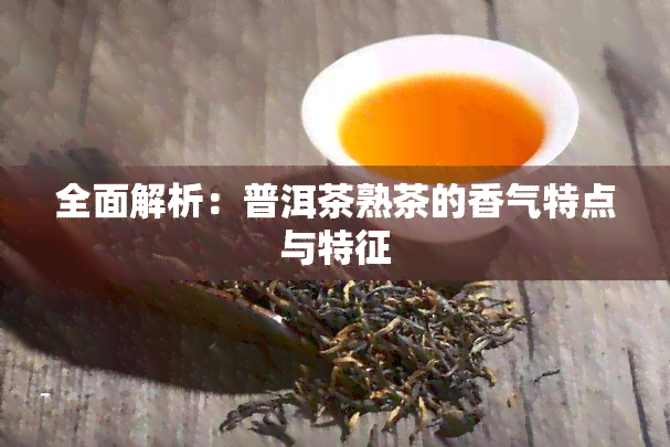 全面解析：普洱茶熟茶的香气特点与特征