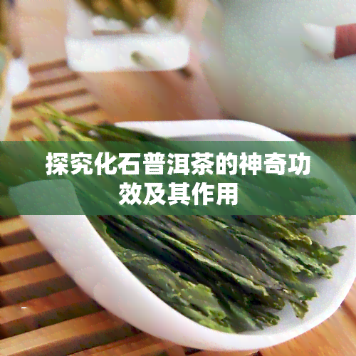 探究化石普洱茶的神奇功效及其作用