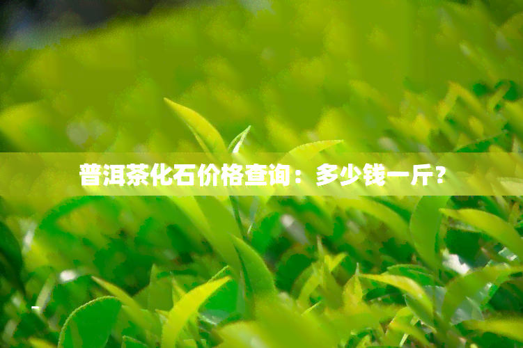 普洱茶化石价格查询：多少钱一斤？