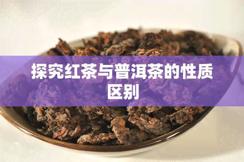 探究红茶与普洱茶的性质区别