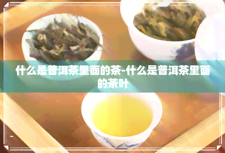 什么是普洱茶里面的茶-什么是普洱茶里面的茶叶