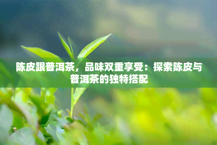 陈皮跟普洱茶，品味双重享受：探索陈皮与普洱茶的独特搭配