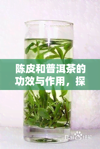 陈皮和普洱茶的功效与作用，探讨陈皮和普洱茶的神奇功效与作用