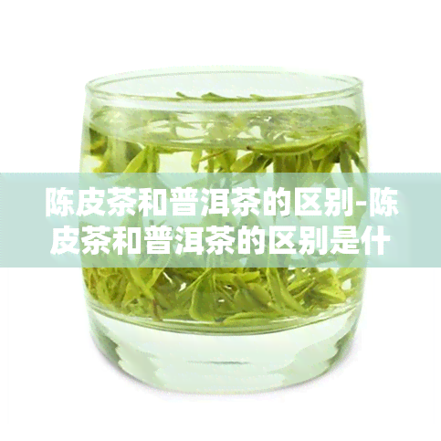 陈皮茶和普洱茶的区别-陈皮茶和普洱茶的区别是什么