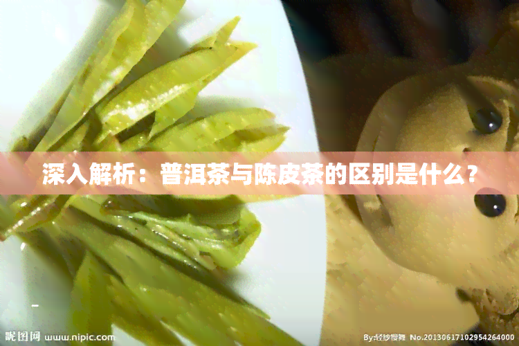 深入解析：普洱茶与陈皮茶的区别是什么？