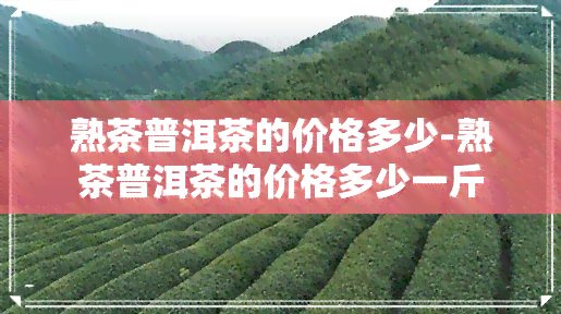 熟茶普洱茶的价格多少-熟茶普洱茶的价格多少一斤