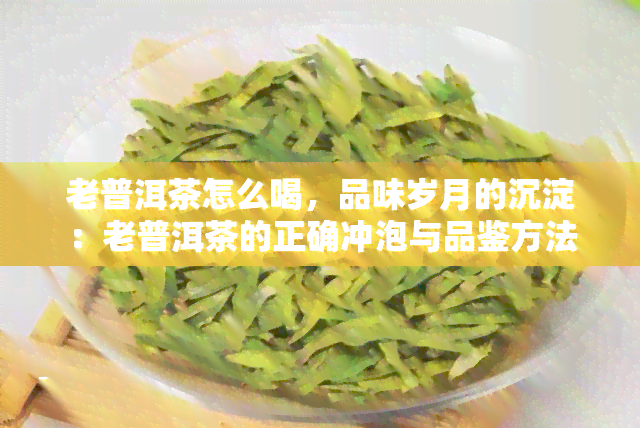 老普洱茶怎么喝，品味岁月的沉淀：老普洱茶的正确冲泡与品鉴方法