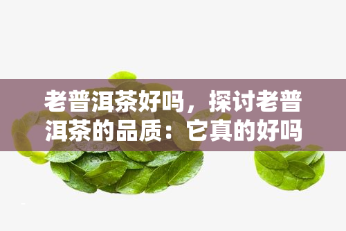 老普洱茶好吗，探讨老普洱茶的品质：它真的好吗？