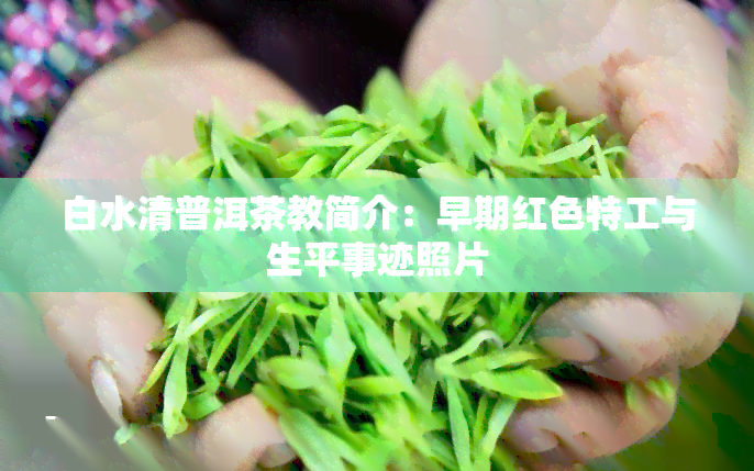 白水清普洱茶教简介：早期红色特工与生平事迹照片