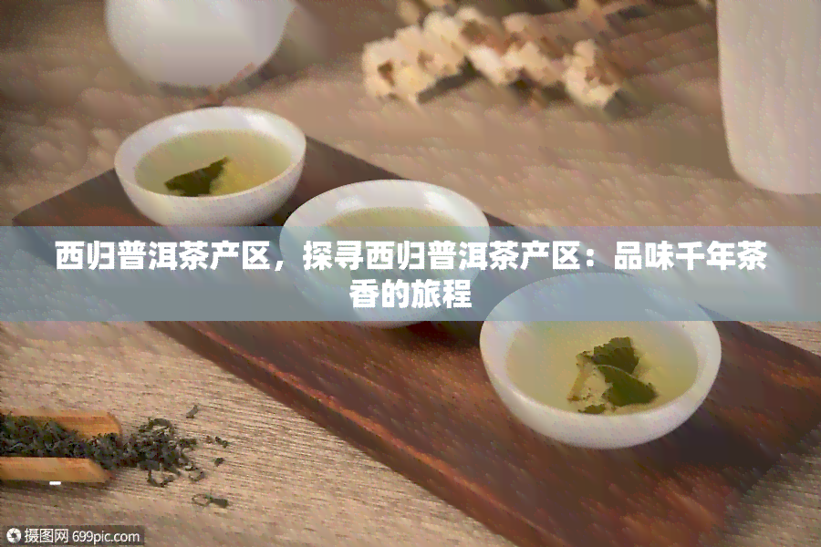 西归普洱茶产区，探寻西归普洱茶产区：品味千年茶香的旅程