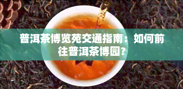 普洱茶博览苑交通指南：如何前往普洱茶博园？