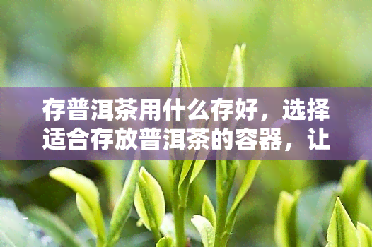 存普洱茶用什么存好，选择适合存放普洱茶的容器，让茶叶保持品质！