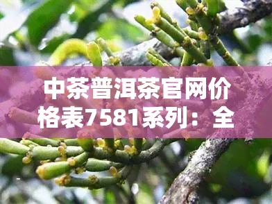 中茶普洱茶官网价格表7581系列：全面收录7581、75819与75815的价格信息