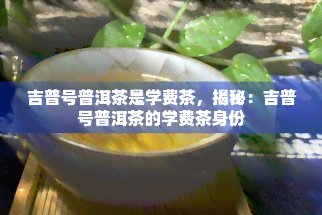 吉普号普洱茶是学费茶，揭秘：吉普号普洱茶的学费茶身份