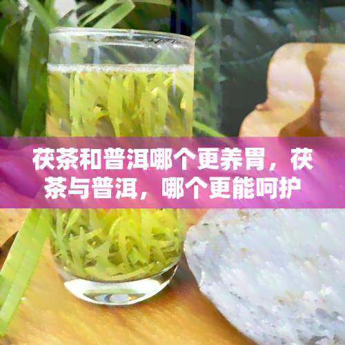 茯茶和普洱哪个更养胃，茯茶与普洱，哪个更能呵护你的胃？